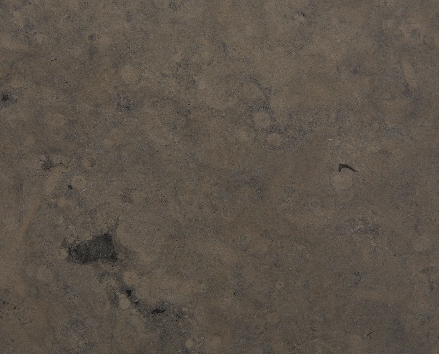 Mespiral Ataija Azul Honed tiles and slabs