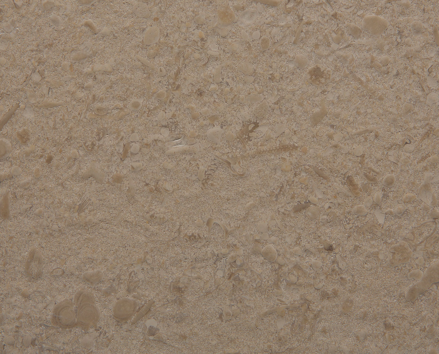 Mespiral Mirabel Brushed tiles and slabs