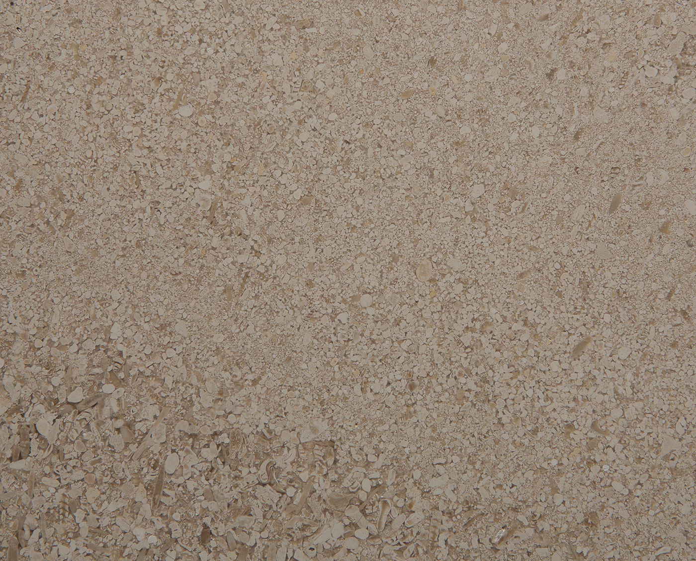 Mespiral Moca Creme medium cross cut honed tiles and slabs
