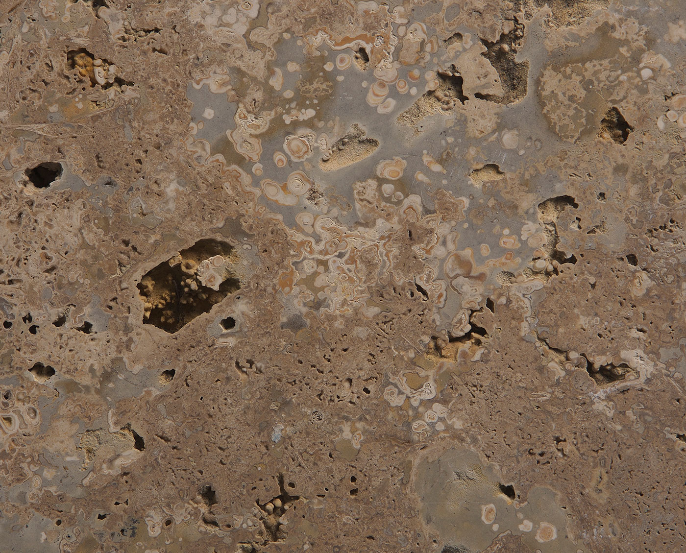 Noce Travertine unfilled and honed tiles and slabs