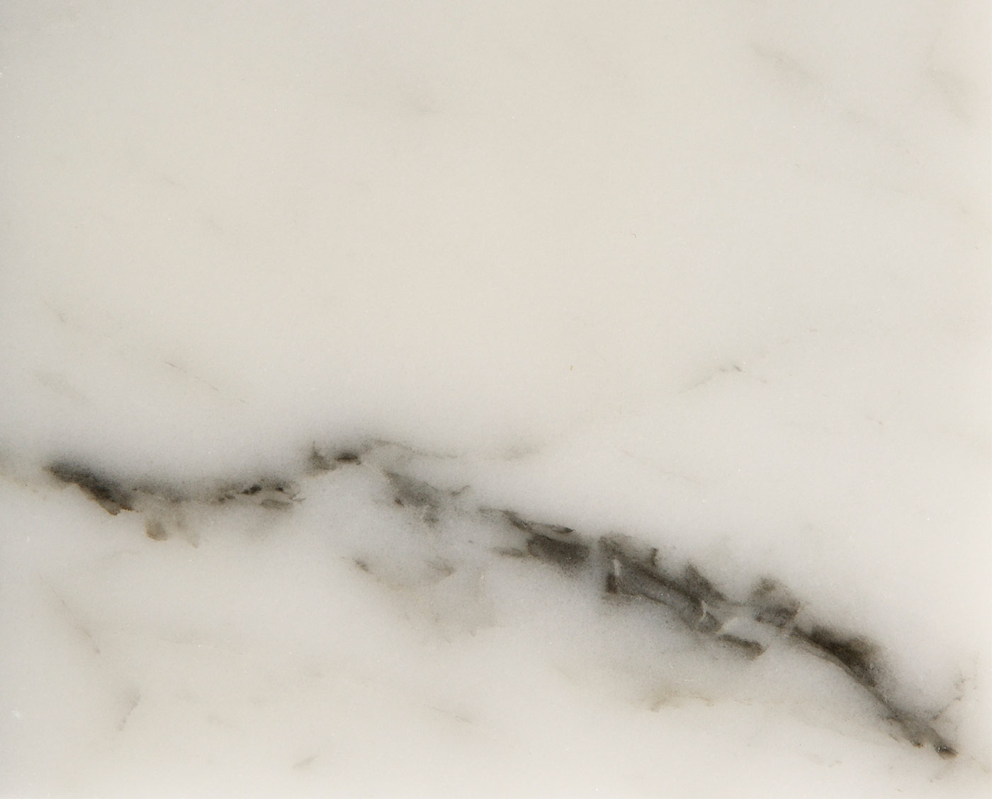 Statuario honed tiles and slabs